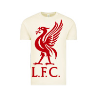 Vintage Arctic LIVERPOOL TEAM Vintage Tee - linhVisuals