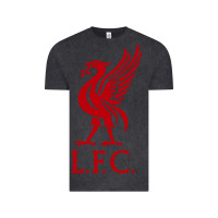 Vintage Black LIVERPOOL TEAM Vintage Tee - linhVisuals