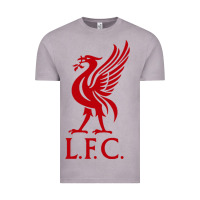 Vintage Zinc LIVERPOOL TEAM Vintage Tee - linhVisuals