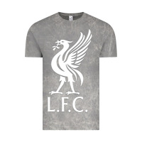 Cloud Rock LIVERPOOL CLUB Vintage Tee - linhVisuals