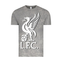 Cloud Rock LIVERPOOL CLUB POPULAR Vintage Tee - linhVisuals