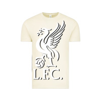 Vintage Arctic LIVERPOOL CLUB POPULAR Vintage Tee - linhVisuals