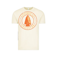 Vintage Arctic arrowhead collector essential Vintage Tee - linhVisuals