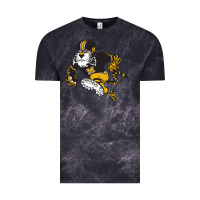 Cloud Black the missouri tigers Vintage Tee - linhVisuals