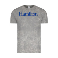 Cloud Rock Hamilto College Vintage Tee - linhVisuals