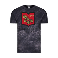 Cloud Black Lake Forest College Vintage Tee - linhVisuals