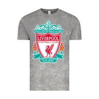 Cloud Rock the-liverpool-pen Vintage Tee - linhVisuals