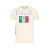 Vintage Arctic vintage italia italian flag italy italiano Vintage Tee - linhVisuals