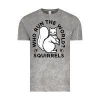 Cloud Rock who run the world squirrels Vintage Tee - linhVisuals