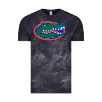Cloud Black go florida gators football Vintage Tee - linhVisuals