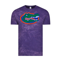 Cloud Purple go florida gators football Vintage Tee - linhVisuals