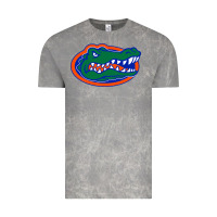 Cloud Rock go florida gators football Vintage Tee - linhVisuals