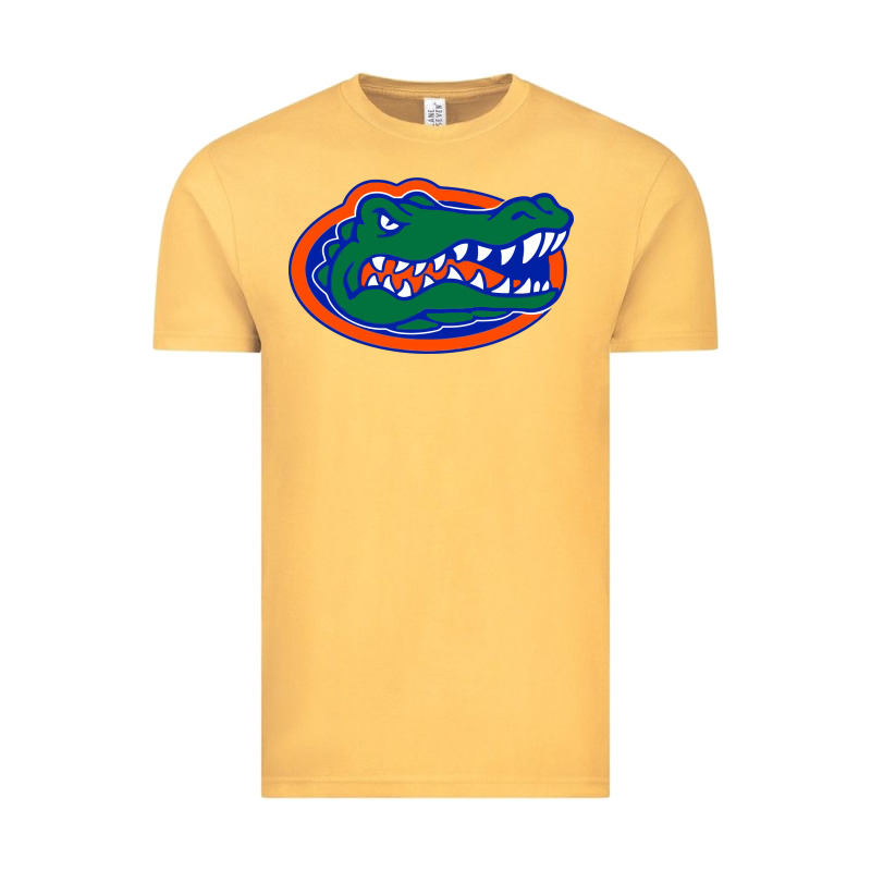 Go Florida Gators Football Vintage Tee by linhVisuals | Teevron