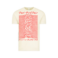 Vintage Arctic JOY DIVISION - UNKNOWN PLEASURES - JAPANESE Vintage Tee - linhVisuals