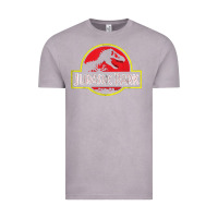 Vintage Zinc jur4551c park tshirt1 Vintage Tee - linhVisuals