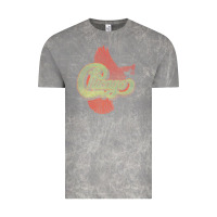 Cloud Rock VINTAGE CHICAGO Vintage Tee - linhVisuals