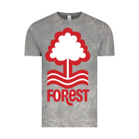 Cloud Rock forest-fc Vintage Tee - linhVisuals