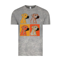 Cloud Rock rhodesian ridgeback t  shirt rhodesian ridgeback dog gift idea t  shir Vintage Tee - linhVisuals