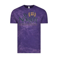 Cloud Purple St. Norbert College Vintage Tee - linhVisuals