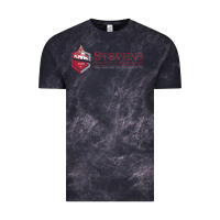 Cloud Black Stevens Institute of Technology Vintage Tee - linhVisuals