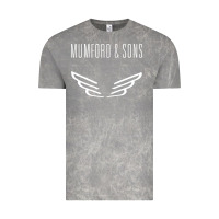 Cloud Rock mumford and sons merch Vintage Tee - linhVisuals