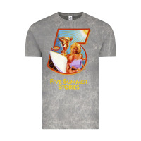 Cloud Rock five 5 summer stories t shirt Vintage Tee - linhVisuals