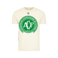 Vintage Arctic the-chapecoense-pen Vintage Tee - linhVisuals