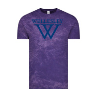 Cloud Purple Wellesley College Vintage Tee - linhVisuals