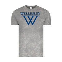 Cloud Rock Wellesley College Vintage Tee - linhVisuals