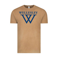 Vintage Camel Wellesley College Vintage Tee - linhVisuals