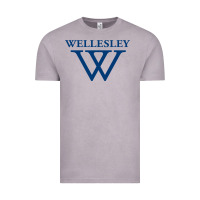 Vintage Zinc Wellesley College Vintage Tee - linhVisuals