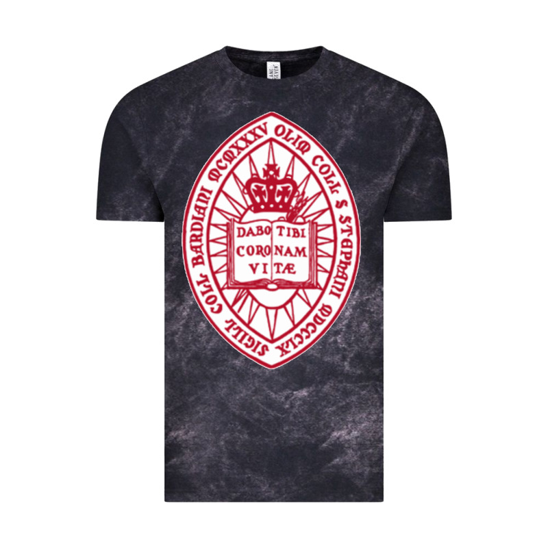 Bard College Vintage Tee by linhVisuals | Teevron