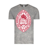 Cloud Rock bard college Vintage Tee - linhVisuals