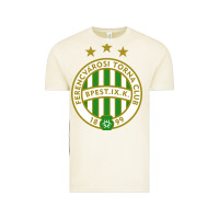 Vintage Arctic the-ferencváros-pen Vintage Tee - linhVisuals