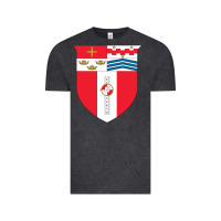 Vintage Black Rensselaer Polytechnic Institute Vintage Tee - linhVisuals