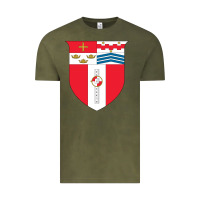 Vintage Olive Rensselaer Polytechnic Institute Vintage Tee - linhVisuals