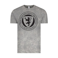 Cloud Rock St. Olaf College Vintage Tee - linhVisuals