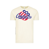 Vintage Arctic the-rochester-americans-pen Vintage Tee - linhVisuals
