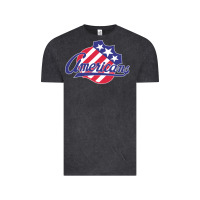 Vintage Black the-rochester-americans-pen Vintage Tee - linhVisuals