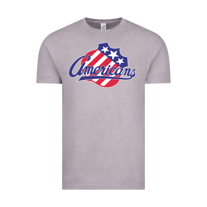 The-rochester-americans-pen Vintage Tee by linhVisuals | Teevron