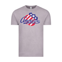 Vintage Zinc the-rochester-americans-pen Vintage Tee - linhVisuals