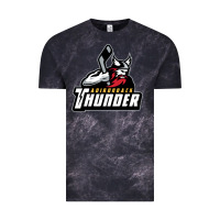 Cloud Black the-adirondack-thunder-pen Vintage Tee - linhVisuals