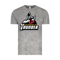 The-adirondack-thunder-pen Vintage Tee | Teevron