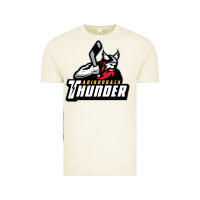 Vintage Arctic the-adirondack-thunder-pen Vintage Tee - linhVisuals