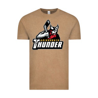 Vintage Coffee the-adirondack-thunder-pen Vintage Tee - linhVisuals
