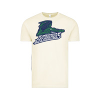 Vintage Arctic the-florida-everblades-pen Vintage Tee - linhVisuals