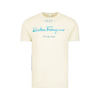 Vintage Arctic SALVATORE TSHIRT Vintage Tee - linhVisuals