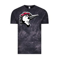 Fayetteville Woodpeckers Vintage Tee | Teevron