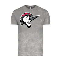 Cloud Rock fayetteville woodpeckers Vintage Tee - linhVisuals