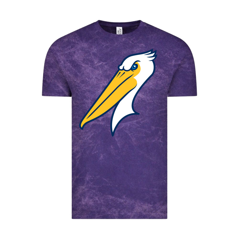 Myrtle Beach Pelicans Vintage Tee by linhVisuals | Teevron